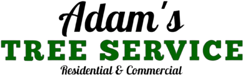 adams tree service